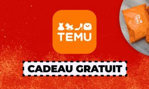 Temu cadeau gratuit